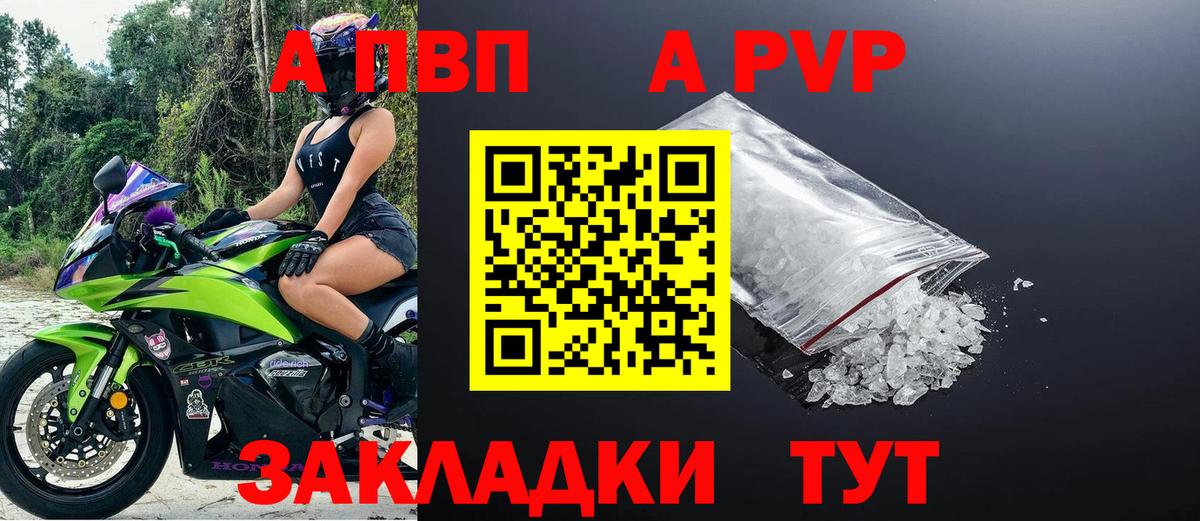 A-PVP СК Братск