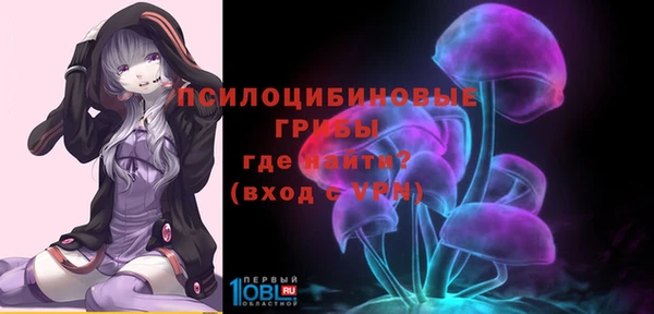 соль ск Балашиха