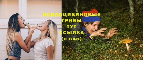 PSILOCYBIN Липки