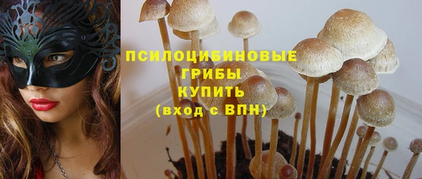 эйфоретик Ладушкин