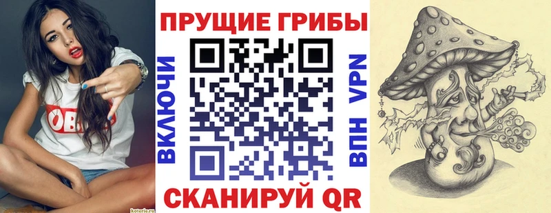 закладка Братск Псилоцибиновые грибы мицелий