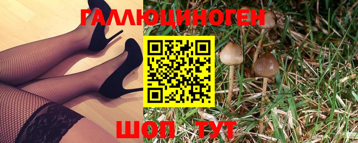 Братск  Галлюциногенные грибы ЛСД  Вход с VPN 
