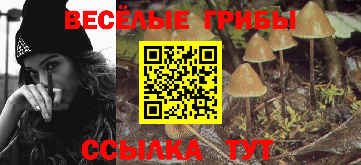 Галлюциногенные грибы мицелий Братск